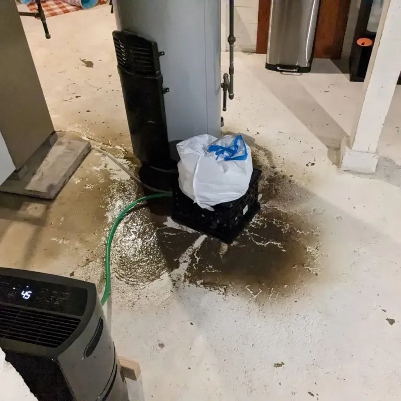 Sewage Backup Cleanup Service in Elba, AL
